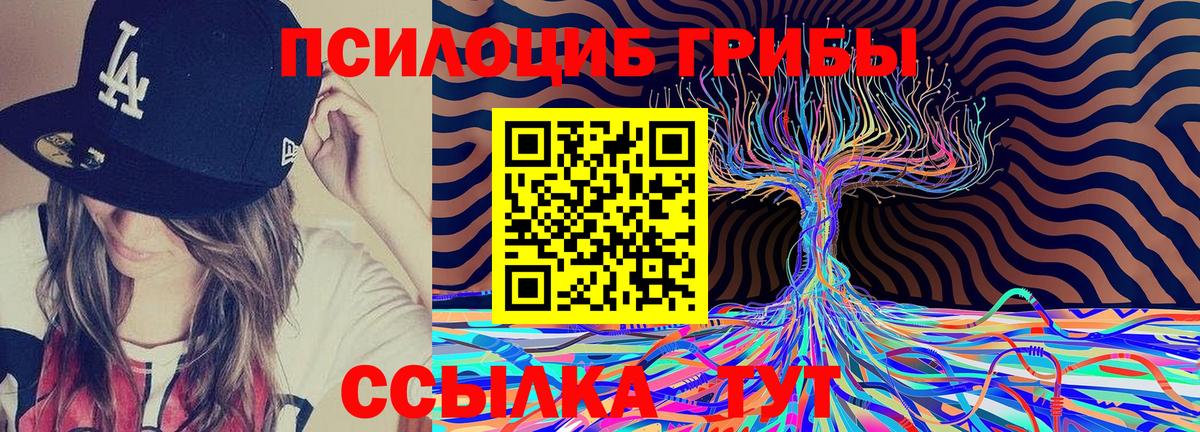 Новоалтайск  где купить наркоту  Вход с VPN  Псилоцибиновые грибы Cubensis 